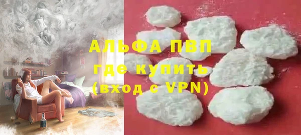 индика Белокуриха