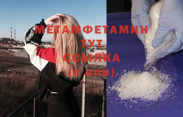 индика Белокуриха