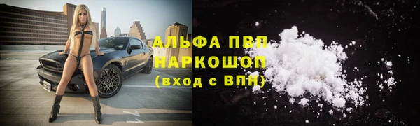 PSILOCYBIN Беломорск