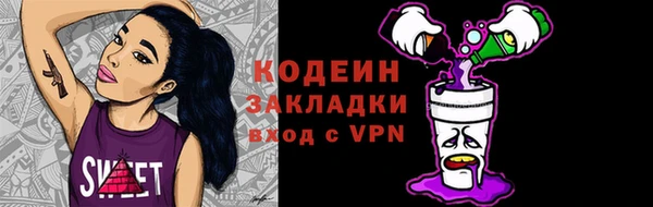 индика Белокуриха