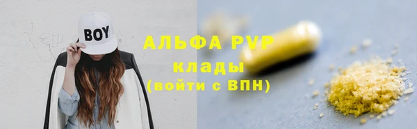 индика Белокуриха