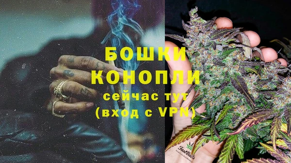 индика Белокуриха