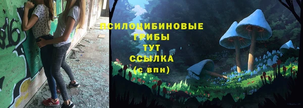 индика Белокуриха
