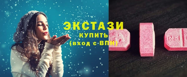 индика Белокуриха