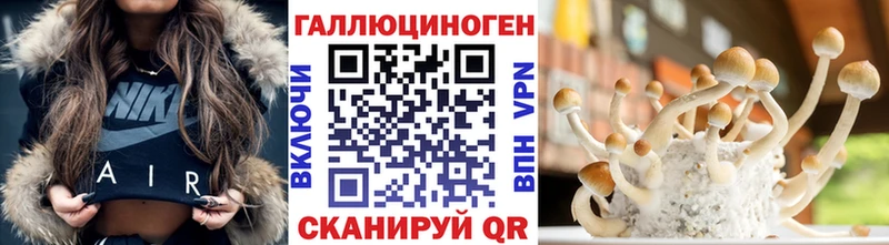 как найти закладки Судогда Галлюциногенные грибы Cubensis